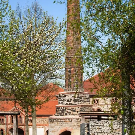 Σπίτι διακοπών Tinyhousebeidresden In Absoluter Alleinlage Direkt Am Naturteich Grosse Terrasse Grill Und Kaminofen Juni - September Mindestmietzeit 1 Woche Sa- Sa Großharthau