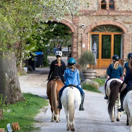 Tinyhousebeidresden In Absoluter Alleinlage Direkt Am Naturteich Große Terrasse Grill Und Kaminofen Juni - September Mindestmietzeit 1 Woche Sa- Sa *