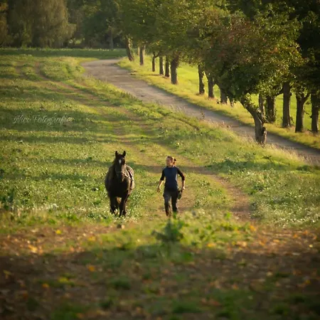 Σπίτι διακοπών Tinyhousebeidresden In Absoluter Alleinlage Direkt Am Naturteich Grosse Terrasse Grill Und Kaminofen Juni - September Mindestmietzeit 1 Woche Sa- Sa