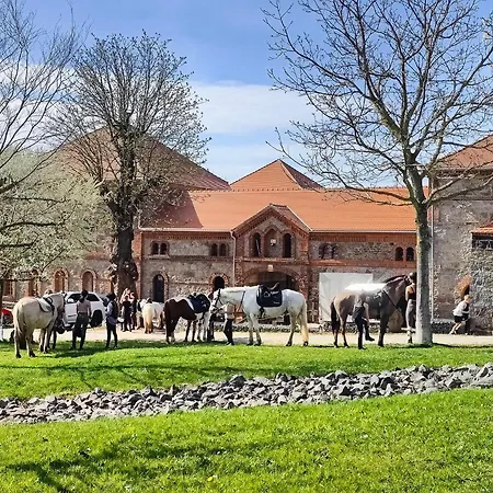 Holiday home Tinyhousebeidresden In Absoluter Alleinlage Direkt Am Naturteich Grosse Terrasse Grill Und Kaminofen Juni - September Mindestmietzeit 1 Woche Sa- Sa Grossharthau