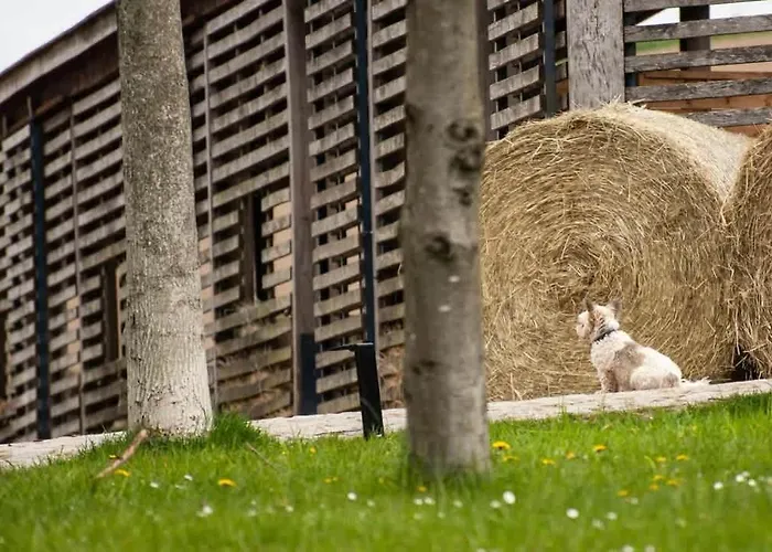 Tinyhousebeidresden In Absoluter Alleinlage Direkt Am Naturteich Grosse Terrasse Grill Und Kaminofen Juni - September Mindestmietzeit 1 Woche Sa- Sa بيت للعطل