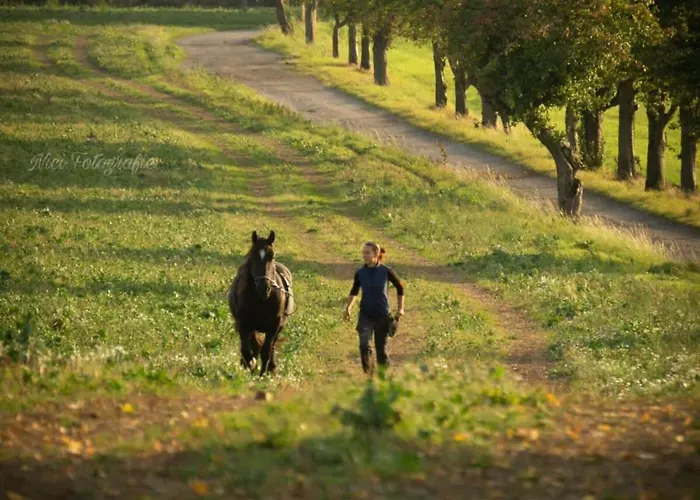 بيت للعطل Tinyhousebeidresden In Absoluter Alleinlage Direkt Am Naturteich Grosse Terrasse Grill Und Kaminofen Juni - September Mindestmietzeit 1 Woche Sa- Sa