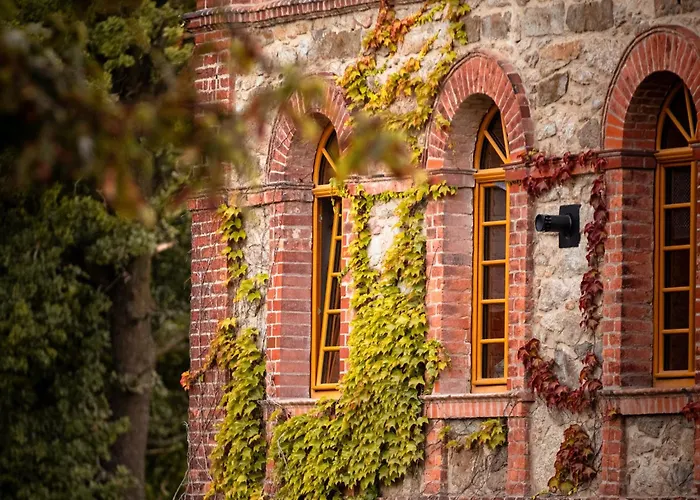 Tinyhousebeidresden In Absoluter Alleinlage Direkt Am Naturteich Grosse Terrasse Grill Und Kaminofen Juni - September Mindestmietzeit 1 Woche Sa- Sa Holiday home *