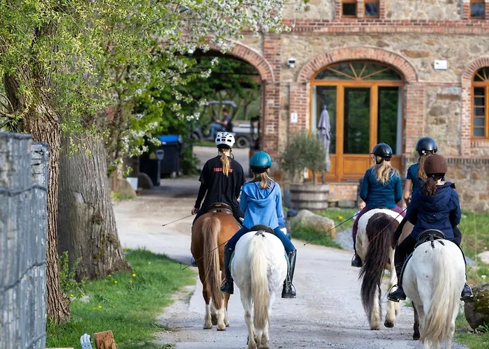 Tinyhousebeidresden In Absoluter Alleinlage Direkt Am Naturteich Grosse Terrasse Grill Und Kaminofen Juni - September Mindestmietzeit 1 Woche Sa- Sa Grossharthau