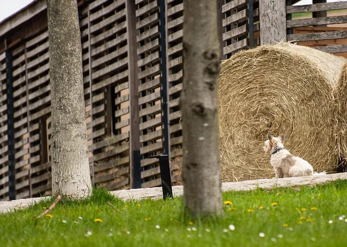 Tinyhousebeidresden In Absoluter Alleinlage Direkt Am Naturteich Grosse Terrasse Grill Und Kaminofen Juni - September Mindestmietzeit 1 Woche Sa- Sa Holiday home Grossharthau